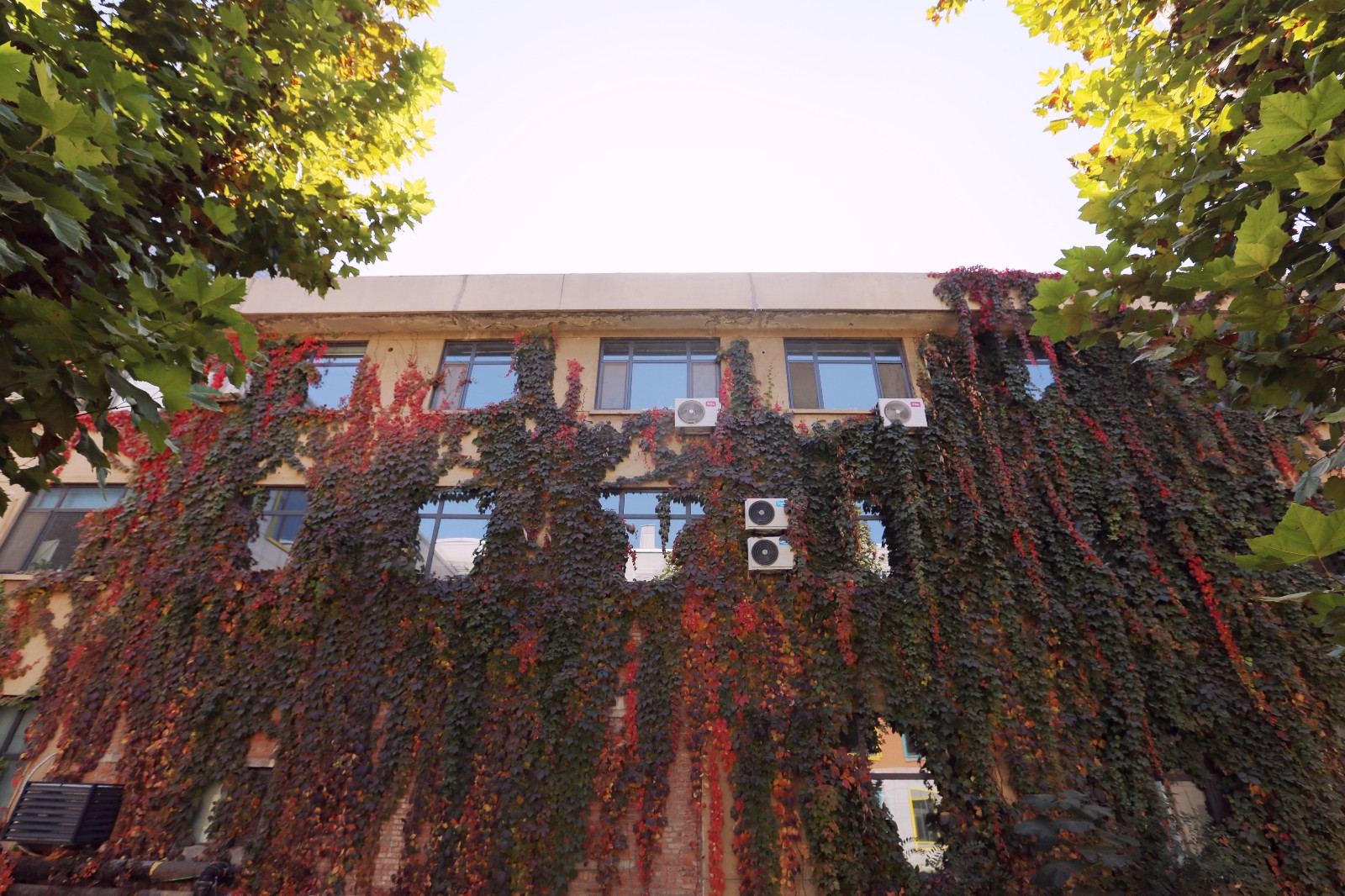 山影星工(gōng)坊的秋色，與心中的美(měi)好(hǎo)不期而遇