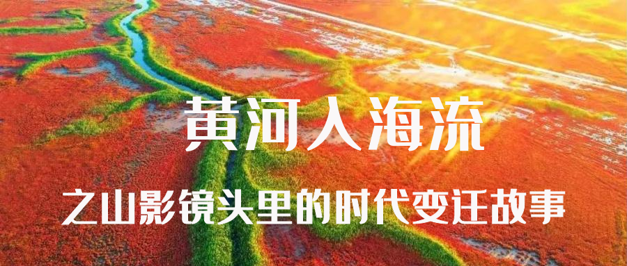 黃河(hé)入海流——山影鏡頭裏的時(shí)代變遷故事(shì)