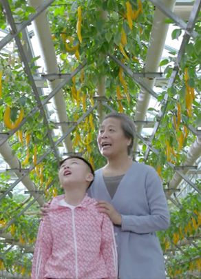 節水(shuǐ)公益廣告——農(nóng)業篇